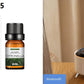 Mountain Fresh  Aroma Diffuser Desktop Humidifier