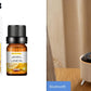 Mountain Fresh  Aroma Diffuser Desktop Humidifier