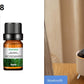 Mountain Fresh  Aroma Diffuser Desktop Humidifier