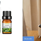 Mountain Fresh  Aroma Diffuser Desktop Humidifier