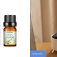 Mountain Fresh  Aroma Diffuser Desktop Humidifier