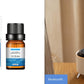 Mountain Fresh  Aroma Diffuser Desktop Humidifier